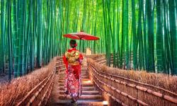 Japonsko