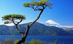Japonsko